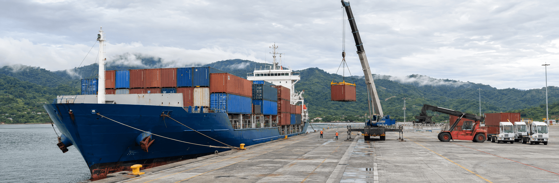 Importación Global